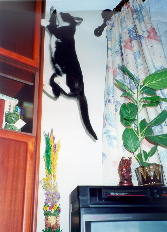 1999-06-xx-gasia-x.jpg