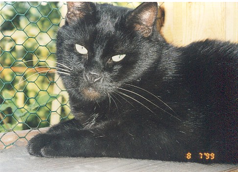 1999-07-08-pafcio-1.jpg