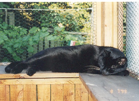 1999-07-08-pafcio-2.jpg