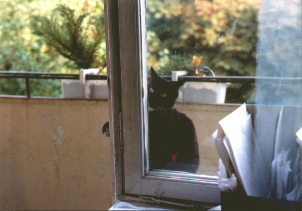 1999-08-XX-klara-okno.jpg