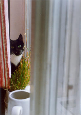 1999-08-XX-klara-rustical-1.jpg