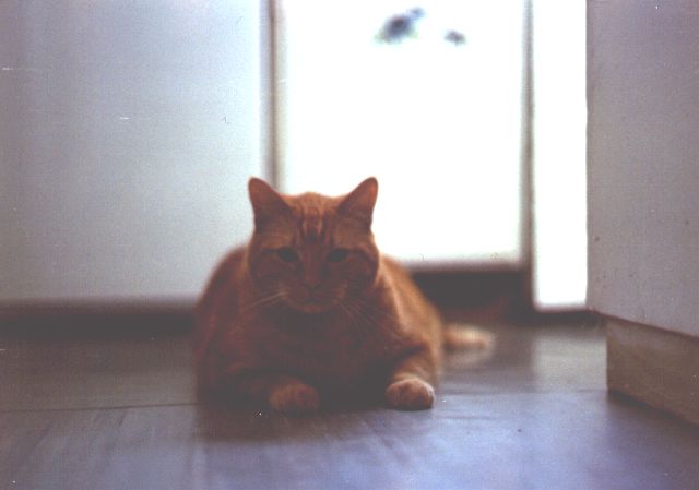 1999-08-XX-plomyczek-1.jpg