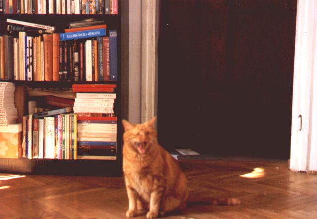 1999-08-XX-plomyczek-2.jpg