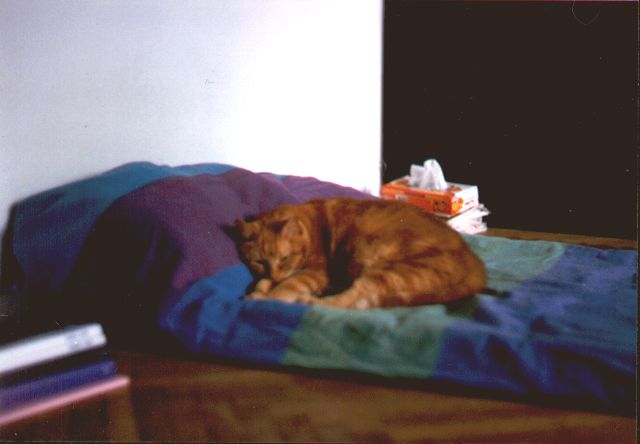 1999-08-XX-plomyczek-3.jpg