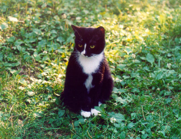 1999-09-17-gasia-1.jpg