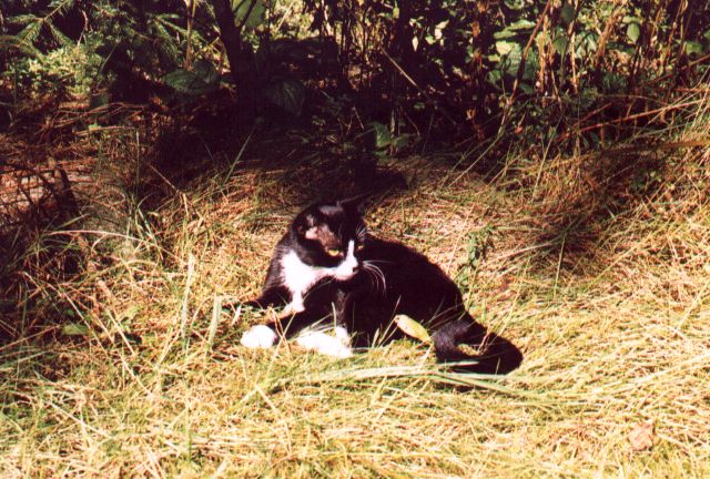 1999-09-xx-gasia-na-trawie.jpg