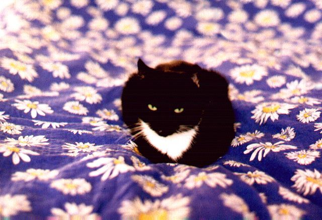 1999-09-xx-klara-na-poscieli.jpg