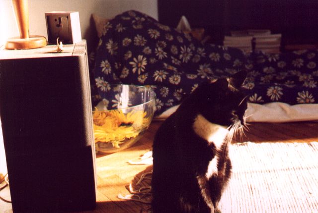 1999-09-xx-klara-siedzi.jpg