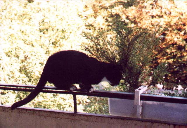1999-09-xx-klara-skrzynka.jpg