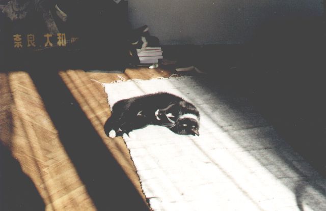 1999-xx-xx-klara-1.jpg