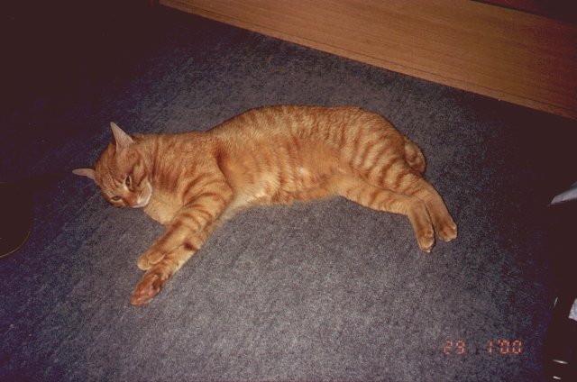 2000-02-xx-ryu.3.jpg
