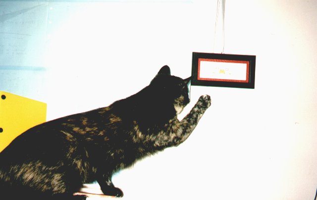 2000-04-30-szuszu-2.jpg