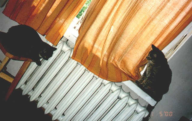 2000-05-01-szuszu-i-szarsza-1.jpg