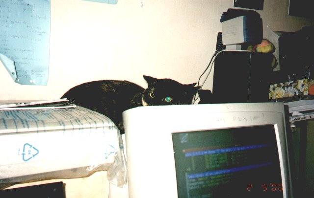 2000-05-02-szuszu-1.jpg