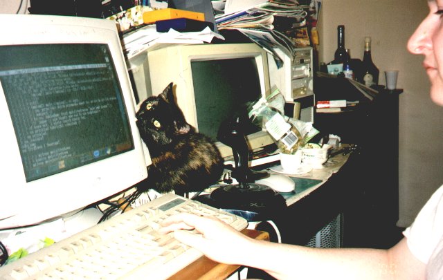 2000-05-03-szuszu-1.jpg
