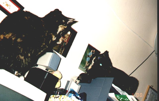 2000-05-07-kropka-i-szuszu-1.jpg