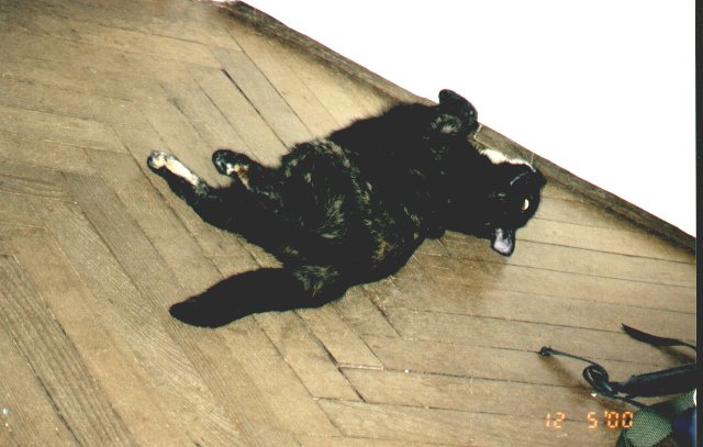 2000-05-12-kropka-1.jpg