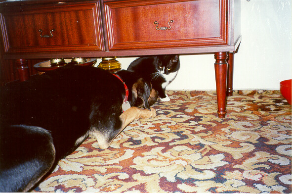 2000-12-24-gasia-i-maksio.jpg