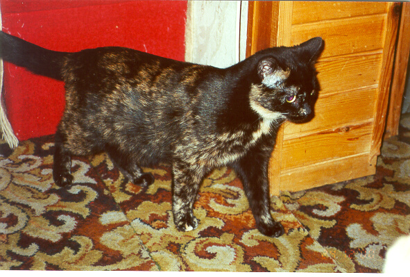 2000-12-24-szuszunia.jpg