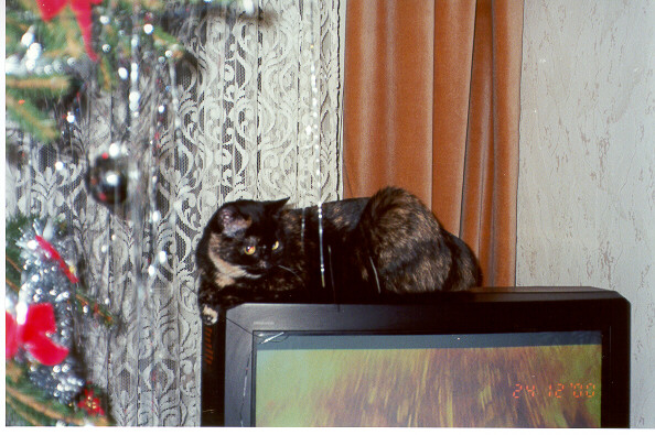 2000-12-24-wigilia-szuszuni-1.jpg