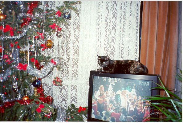 2000-12-24-wigilia-szuszuni-2.jpg