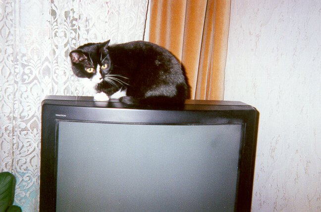 2001-01-19-gasia-na-tiwi.jpg