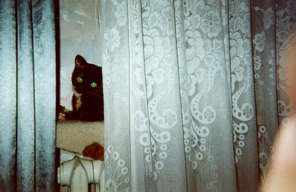 2001-01-19-szuszu-chowasie.jpg