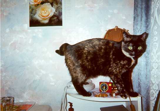 2001-01-19-szuszu-naszafkowa.jpg