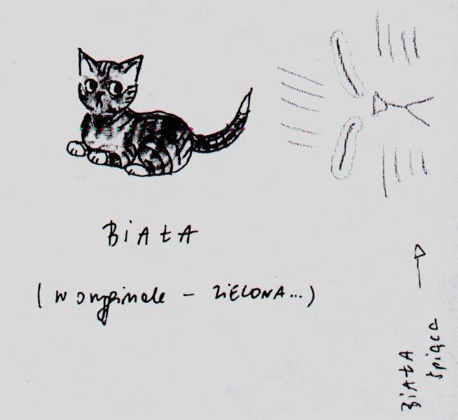 biala-w-oryginale-zielona.jpg