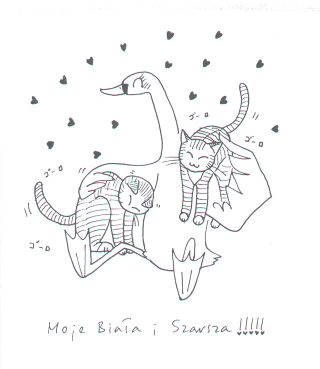 moje-biala-i-szarsza.jpg